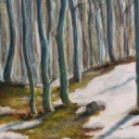 pierwiośnie pierwiośnie