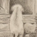 ciekawośc ciekawośc