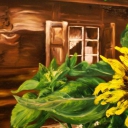 Słonecznik Słonecznik