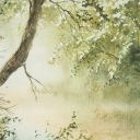 PORANNA MGŁA PORANNA MGŁA