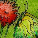 Motylek II Motylek II