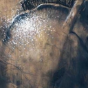 Zakazany owoc Zakazany owoc