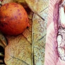 Leśne spacery Leśne spacery