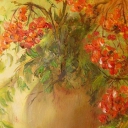 Jarzębina Jarzębina