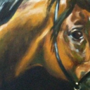 Głowa konia Głowa konia