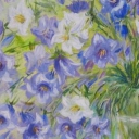 Dzwoneczki Dzwoneczki