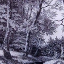 Leśna rzeka Leśna rzeka