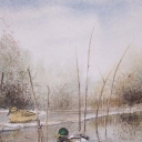 Na brzegu... Na brzegu...