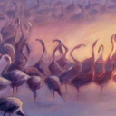 flamingi we mgle flamingi we mgle