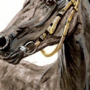 Portret konia Portret konia