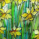 Narcyzowa wiosna Narcyzowa wiosna