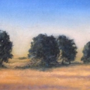 Pola pod Fajsławicami Pola pod Fajsławicami