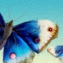 Błękitne motyle Błękitne motyle