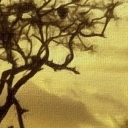 Samotnia II Samotnia II