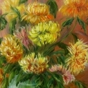 Chryzantemy złociste