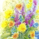 Kwiaty z łąki Kwiaty z łąki