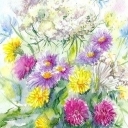 Łąkowe kwiaty Łąkowe kwiaty