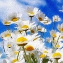 PIĘKNO PRZYRODY PIĘKNO PRZYRODY