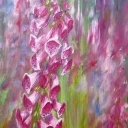 Naparstnice w ogrodzie Naparstnice w ogrodzie