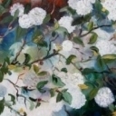 Kwitnące wiosną II