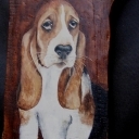 Basset
