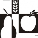 martwa natura martwa natura