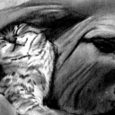 Przyjaciele Przyjaciele