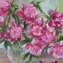 Różowe piwonie Różowe piwonie