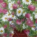 Koniczyna z margerytkami Koniczyna z margerytkami