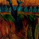 Zachód słońca z wierzbami