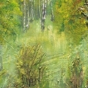 G3 Polanka G3 Polanka