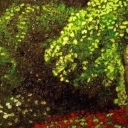 Lady in the garden Lady in the garden