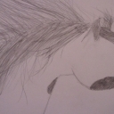 Pędzący mustang Pędzący mustang