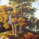 Stare Drzewo Stare Drzewo