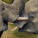 Kto się czubi, ten się lubi