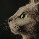 kobietawczerwonejsukiencezpsemnaramieniu kobietawczerwonejsukiencezpsemnaramieniu