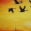 Latanie...za-chód Latanie...za-chód