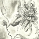 Agresywny kwiat nr 2 Agresywny kwiat nr 2