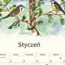 styczeń