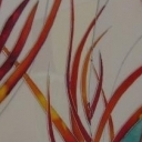 Kłosy zimą Kłosy zimą