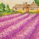 Lawendowe... Lawendowe...