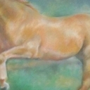 Koń w galopie Koń w galopie