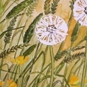 Co w trawie piszczy? Co w trawie piszczy?