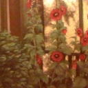 Portyk letni Portyk letni