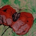 Narodziny kwiatu maku 