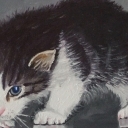 Kicia mizia Kicia mizia