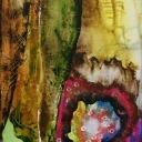 podpatrzone w makro podpatrzone w makro