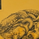 Supremacje Supremacje