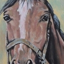 Portret konia Portret konia