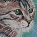 Portfet kota Portfet kota